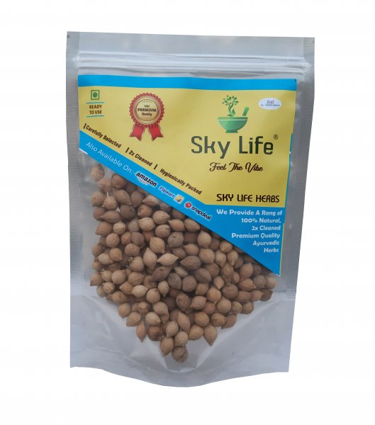 Putrajivak Beej - Putrajeevak Seed - Putr Jivak Seed - Jiya Pota Seeds - Putra Jeevak Beej Putra Jivak Beej - Jiya Pota Seeds